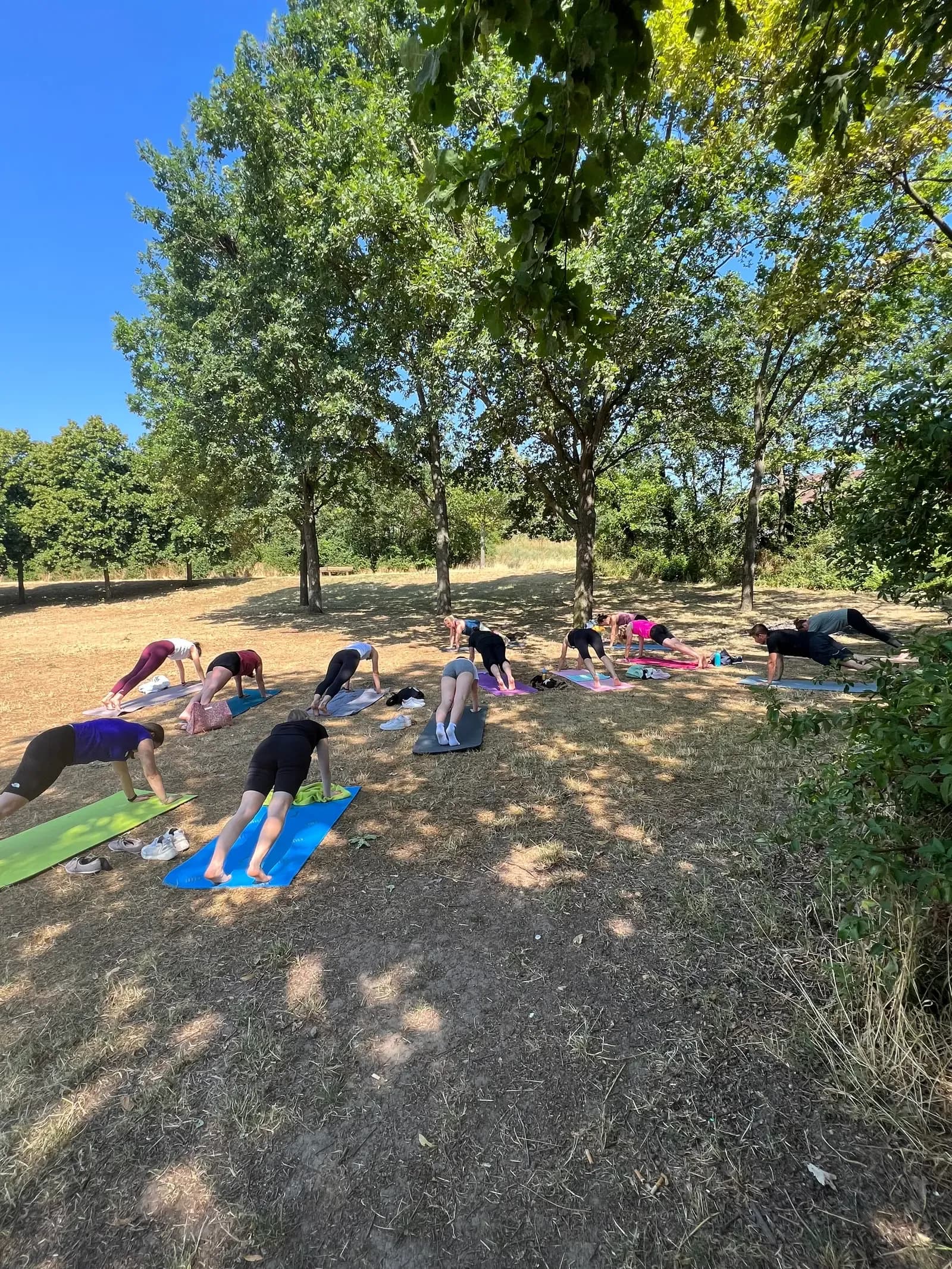 Yoga-Event der Trendfabrik im Grünen